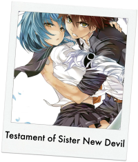 Testament of Sister new Devil